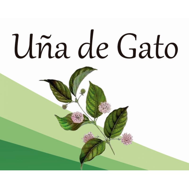 Compra Uña de Gato en Saüc Salut