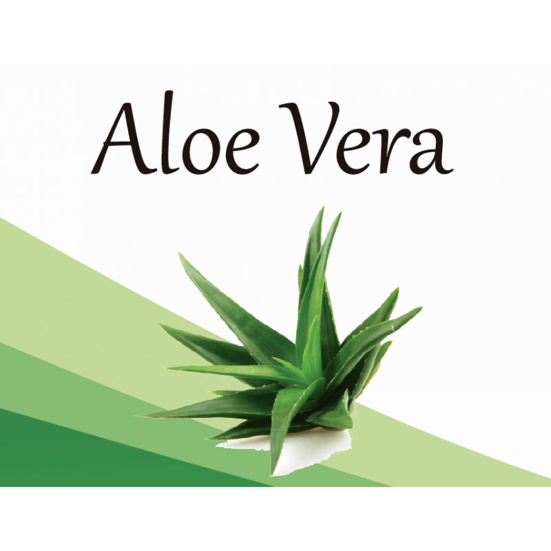 Aloe vera EF