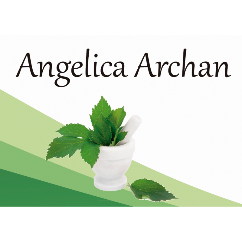 Angelica Archan EF