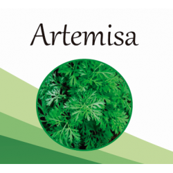Artemisa EF