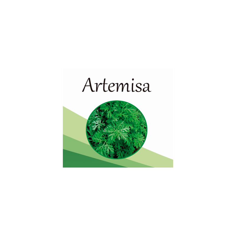 Artemisa EF