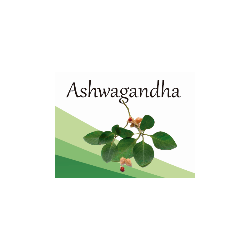 Ashwagandha EF