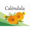 Caléndula EF