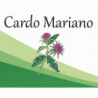 Cardo Mariano EF