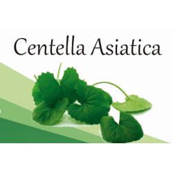 Centella Asiatica EF