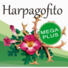 Harpagofito
