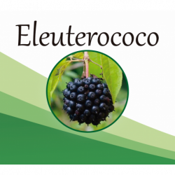 Eleuterococ