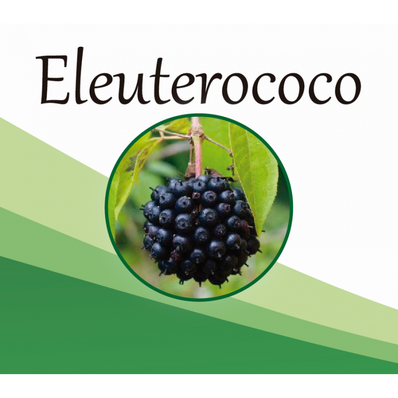 Eleuterococ