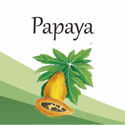 Compra Papaya en Saüc Salut