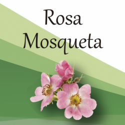 Compra Rosa Mosqueta en Saüc Salut