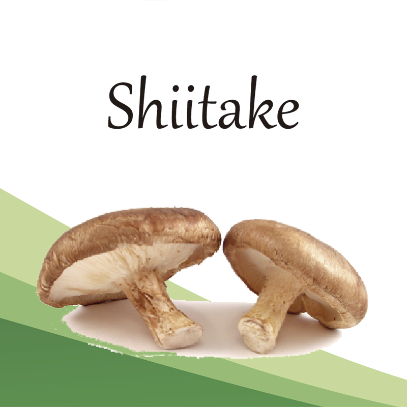 Compra Shiitake en Saüc Salut