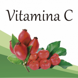 Compra Vitamina-C en Saüc Salut