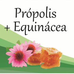 Compra Própolis + Equinacea en Saüc Salut