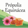 Compra Própolis + Equinacea en Saüc Salut